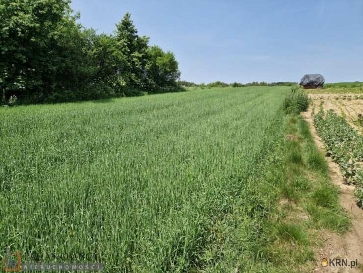 , Wola Więcławska, ul. , Działki  na sprzedaż