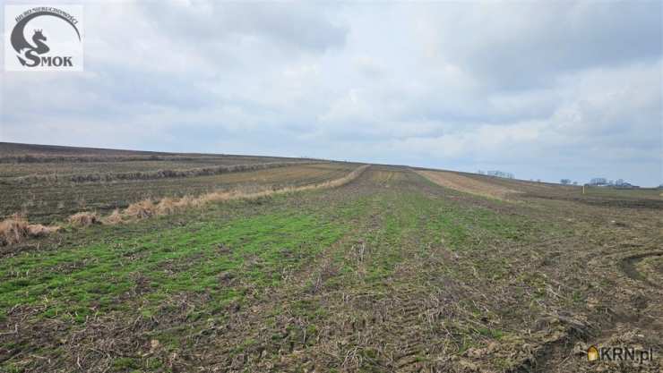 Kraków, Nowa Huta/Kościelniki, ul. , Działki  na sprzedaż, 