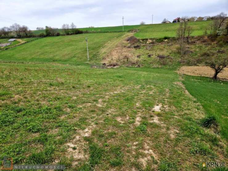 Działki  na sprzedaż, , Kozierów, ul. 