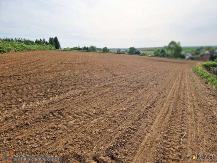 Działki  na sprzedaż, Raciborowice, ul. , 