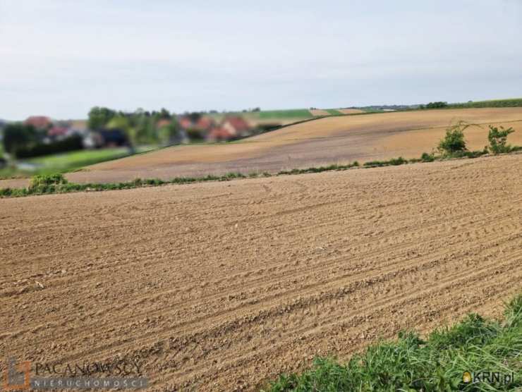 Działki  na sprzedaż, , Raciborowice, ul. 