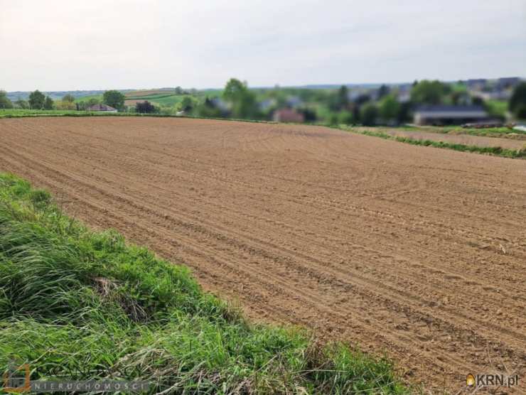 Raciborowice, ul. , Działki  na sprzedaż, 