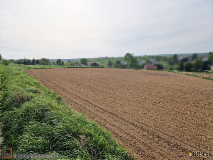 Raciborowice, ul. , , Działki  na sprzedaż