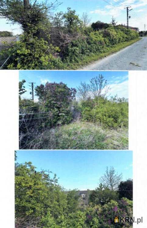 Zalesie, ul. , Działki  na sprzedaż, 