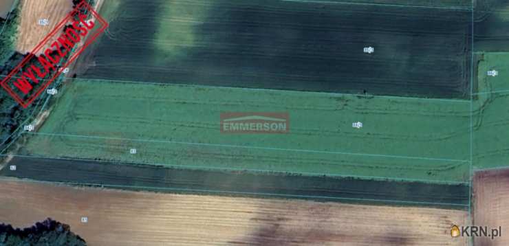 Działki  na sprzedaż, Czajęczyce, ul. , 