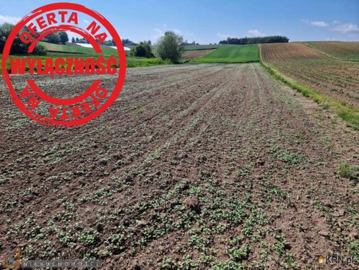 Działki  na sprzedaż, Pielgrzymowice, ul. , 