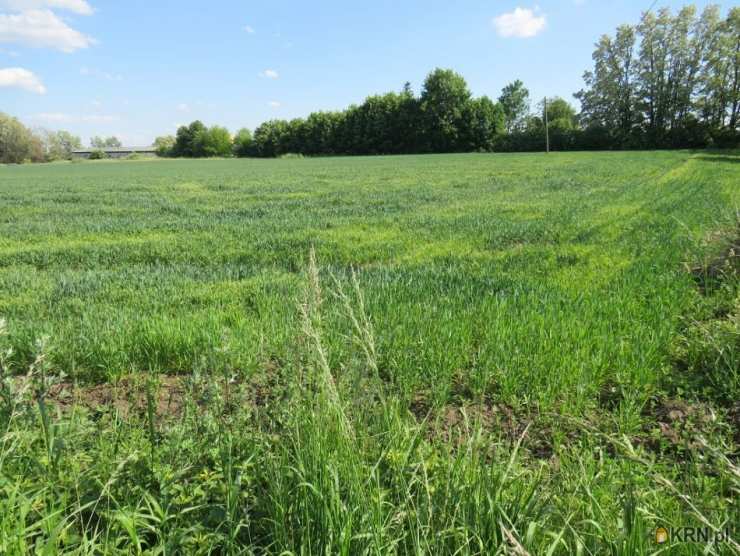 Działki  na sprzedaż, , Klimontów, ul. 