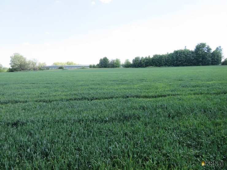 Klimontów, ul. , , Działki  na sprzedaż