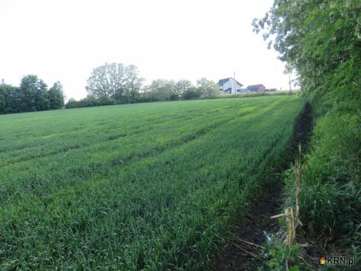 Klimontów, ul. , Działki  na sprzedaż, 