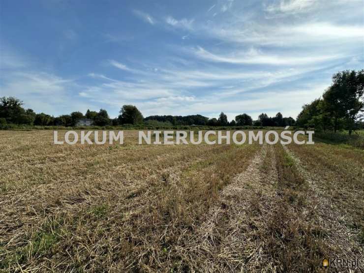 Działki  na sprzedaż, Zebrzydowice, ul. A. Asnyka, 