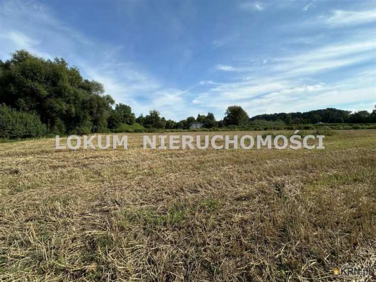 Działki  na sprzedaż, , Zebrzydowice, ul. A. Asnyka