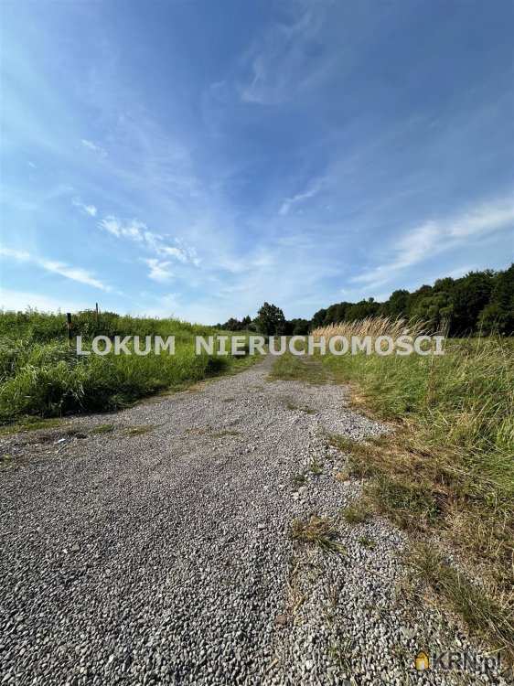 Zebrzydowice, ul. A. Asnyka, , Działki  na sprzedaż