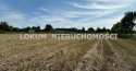 Działki na sprzedaż, Zebrzydowice, ul. A. Asnyka