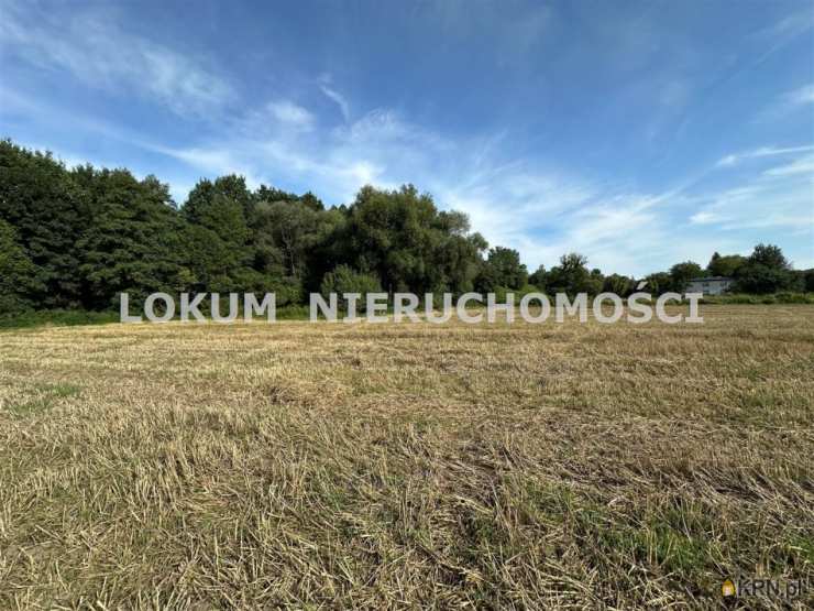 Zebrzydowice, ul. A. Asnyka, Działki  na sprzedaż, 