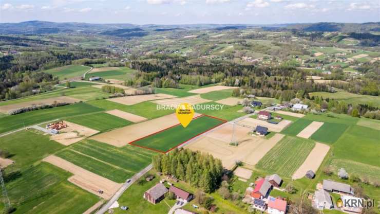 Działki  na sprzedaż, , Rzepiennik Strzyżewski, ul. 