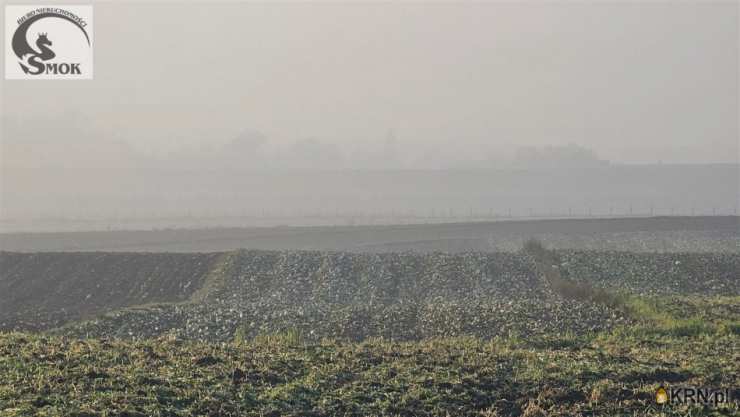 Działki  na sprzedaż, , Tropiszów, ul. 