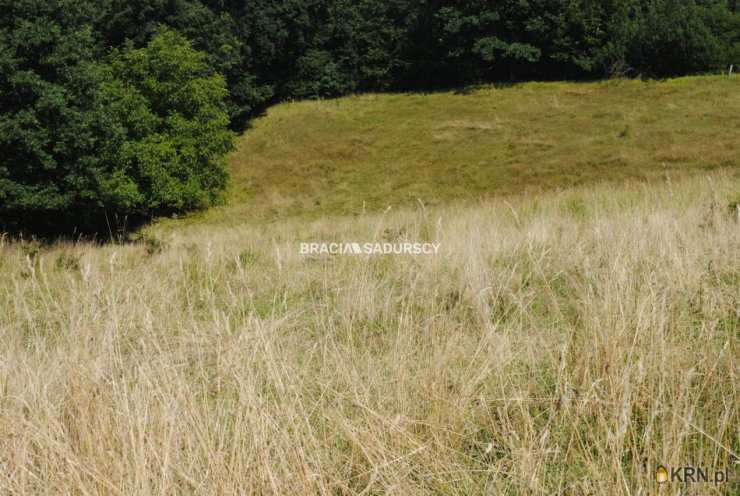 Bracia Sadurscy Oddział BS1 Kapelanka, Działki  na sprzedaż, Chorowice, ul. 