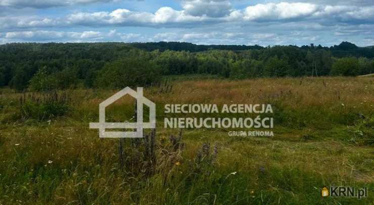 Działki  na sprzedaż, Trzepowo, ul. , 