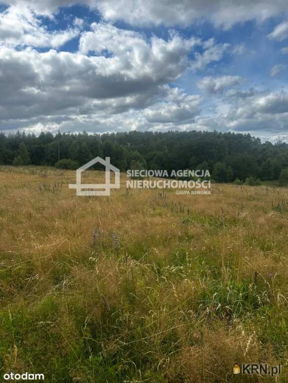 Sieciowa Agencja Nieruchomości Grupa Renoma, Działki  na sprzedaż, Trzepowo, ul. 