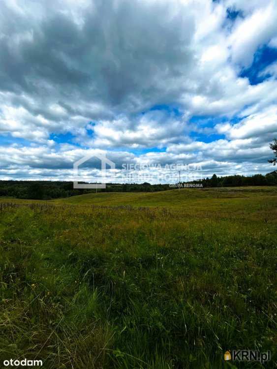 Działki  na sprzedaż, , Trzepowo, ul. 