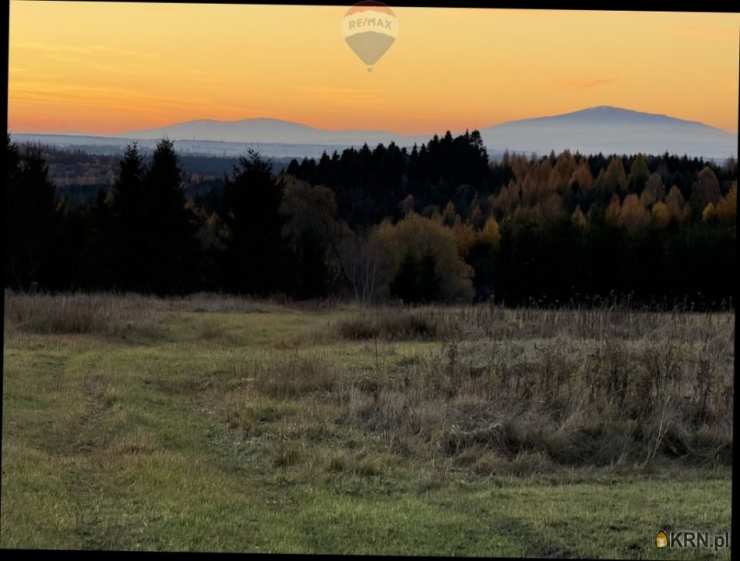 RE/MAX Polska, Działki  na sprzedaż, Frydman, ul. 