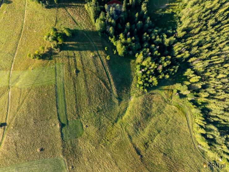 Zakopane, ul. , Działki  na sprzedaż, 