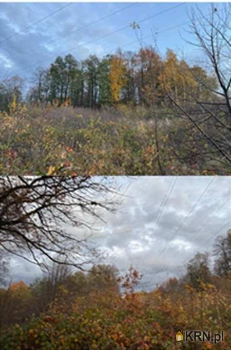 Działki  na sprzedaż, Lusina, ul. , 