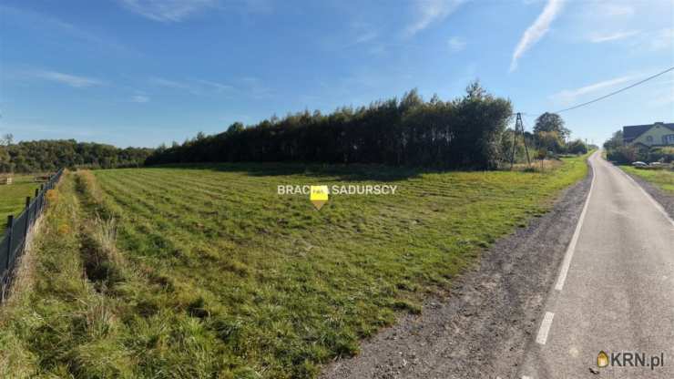 BRACIA SADURSCY NIERUCHOMOŚCI ODDZIAŁ BS5 NOWA HUTA, Działki  na sprzedaż, Sąspów, ul. 