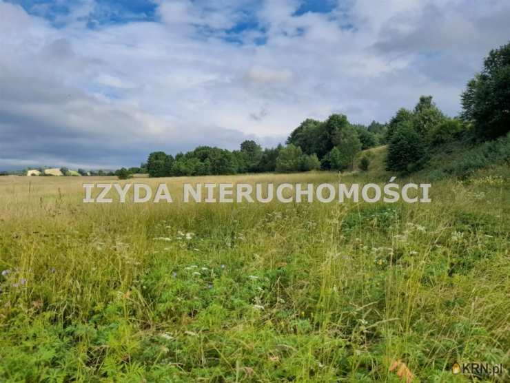 Działki  na sprzedaż, Łomnica, ul. , 