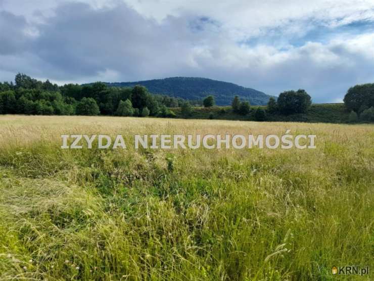 Działki  na sprzedaż, , Łomnica, ul. 