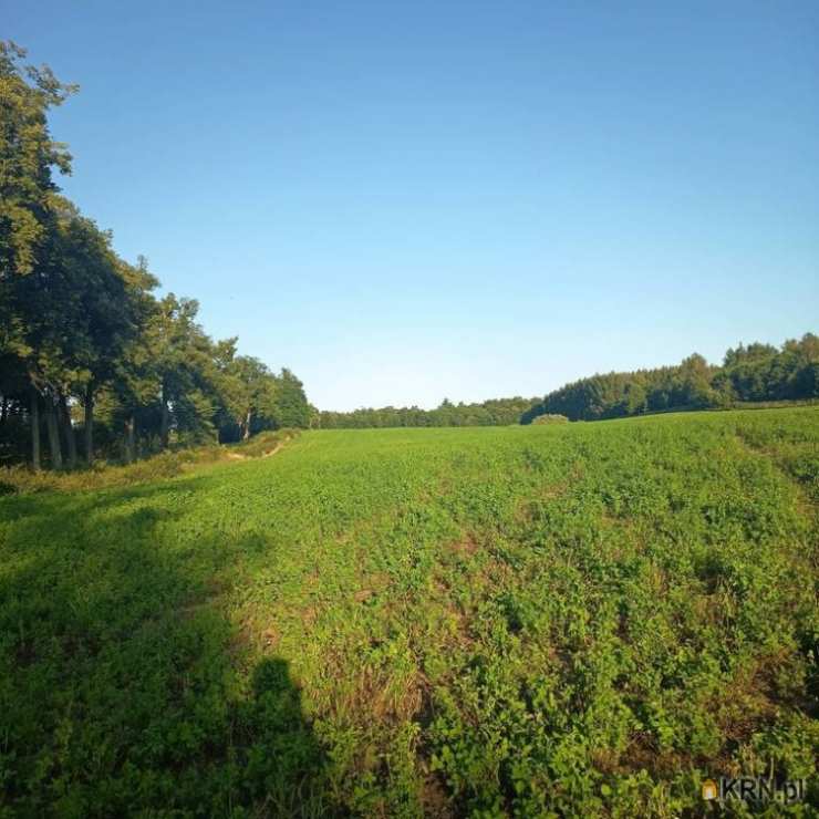 Działki  na sprzedaż, Skowrony, ul. , 