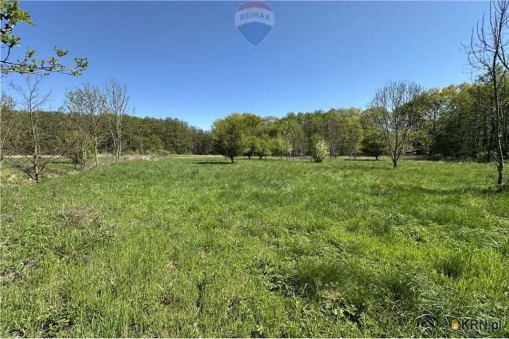 RE/MAX Polska, Działki  na sprzedaż, Osiek, ul. 