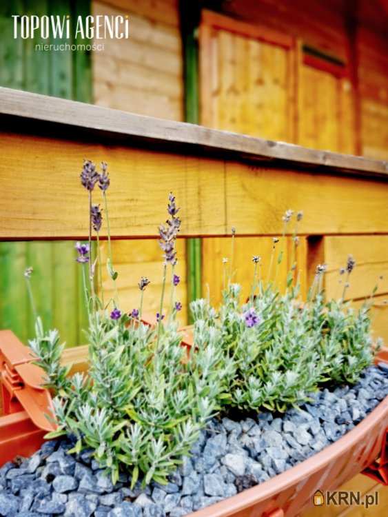 , Kamieńczyk, ul. Kukawska, Działki  na sprzedaż