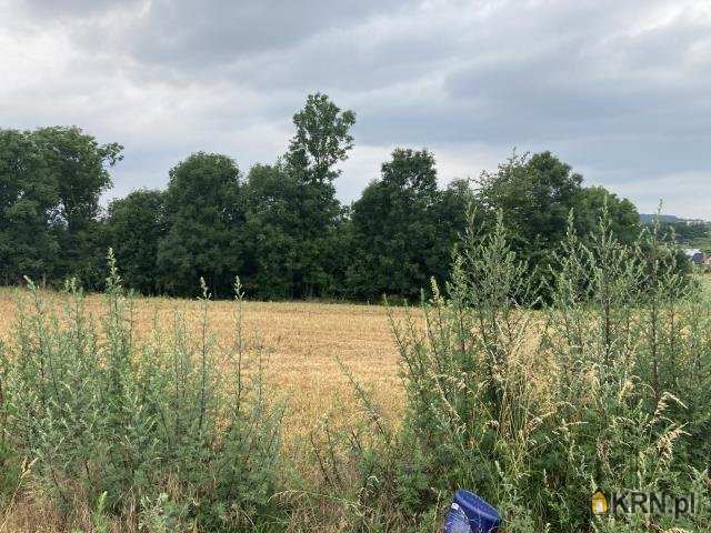 Działki  na sprzedaż, Zawonia, ul. , 