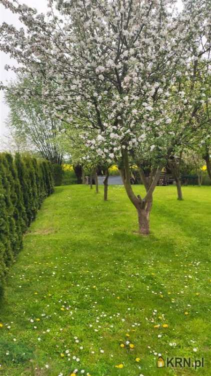 Gdańsk, Osowa, ul. Spacerowa, Działki  na sprzedaż, 