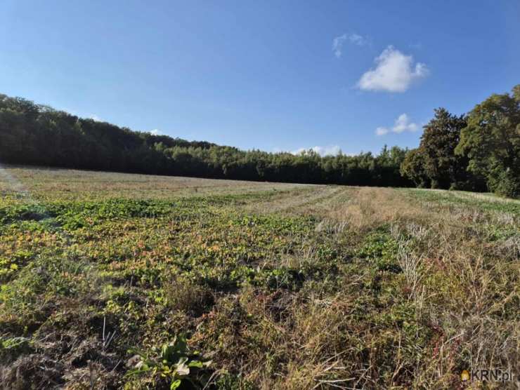 Działki  na sprzedaż, Świebodzice, ul. , 