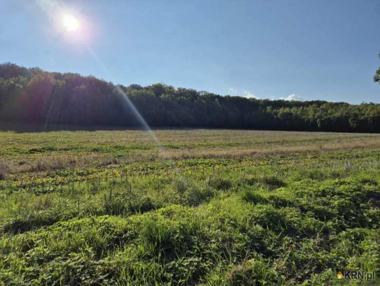 Działki  na sprzedaż, , Świebodzice, ul. 