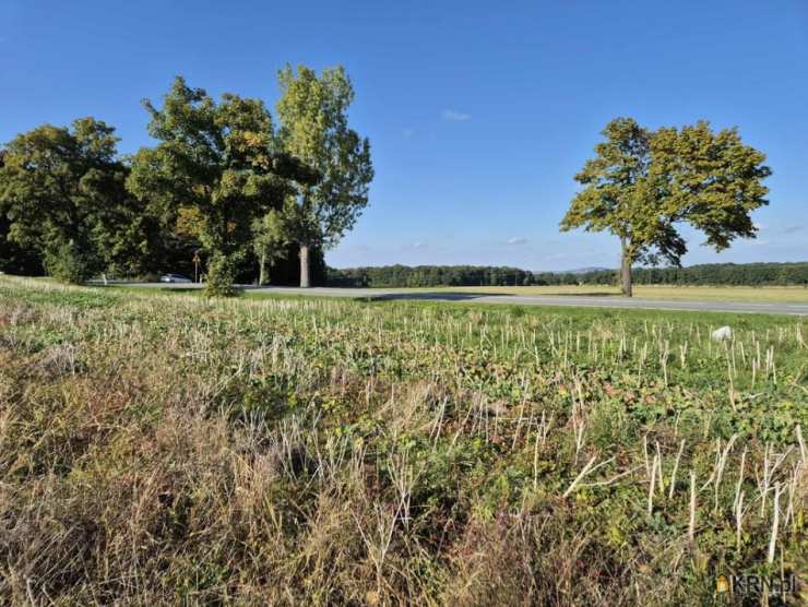 Biuro Nieruchomości SOWA, Działki  na sprzedaż, Świebodzice, ul. 