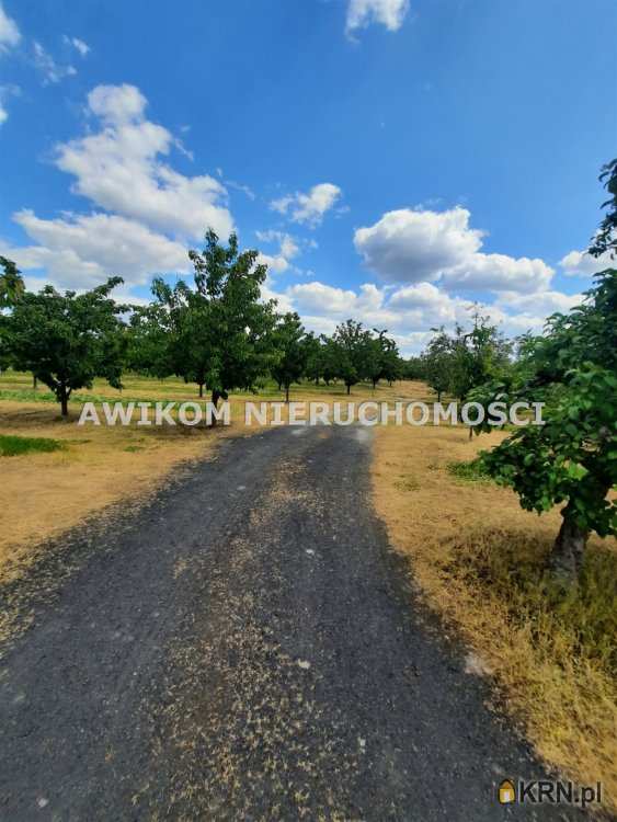 Działki  na sprzedaż, , Kornelówka, ul. 