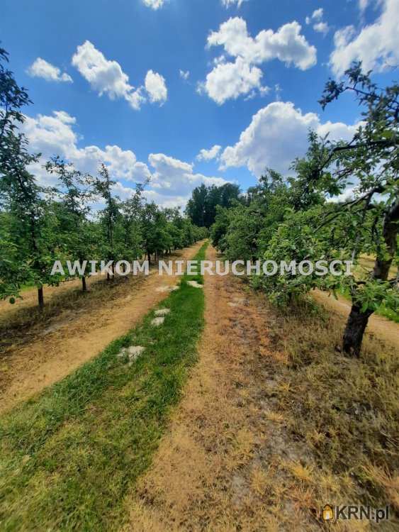 Kornelówka, ul. , , Działki  na sprzedaż