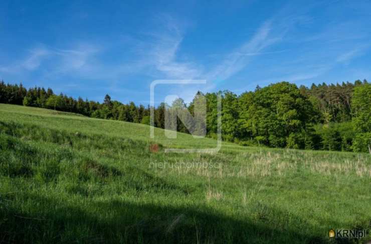 Karpacz, ul. Wilcza, , Działki  na sprzedaż