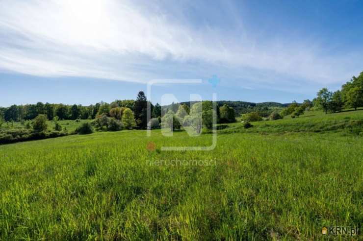 Karpacz, ul. Wilcza, Działki  na sprzedaż, 