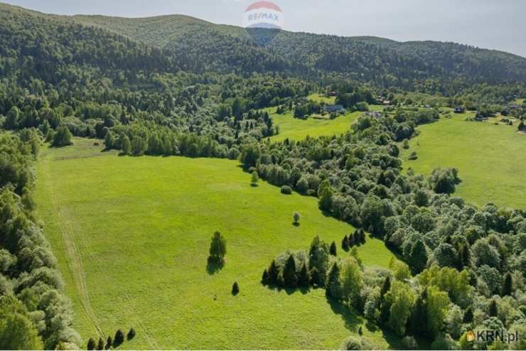 RE/MAX Polska, Działki  na sprzedaż, Krzywe, ul. 