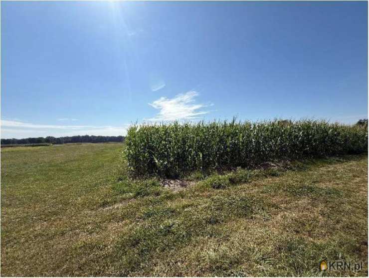 , Działki  na sprzedaż, Gozdy, ul. 