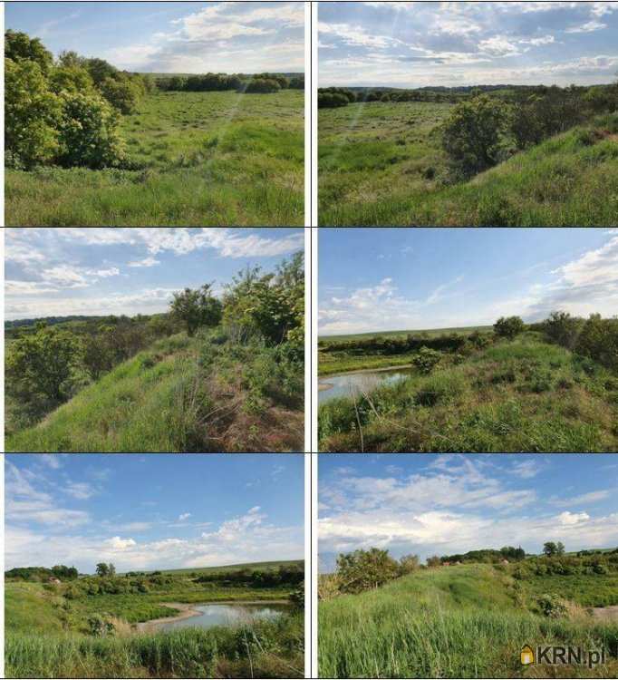 Działki  na sprzedaż, , Malczyce, ul. 