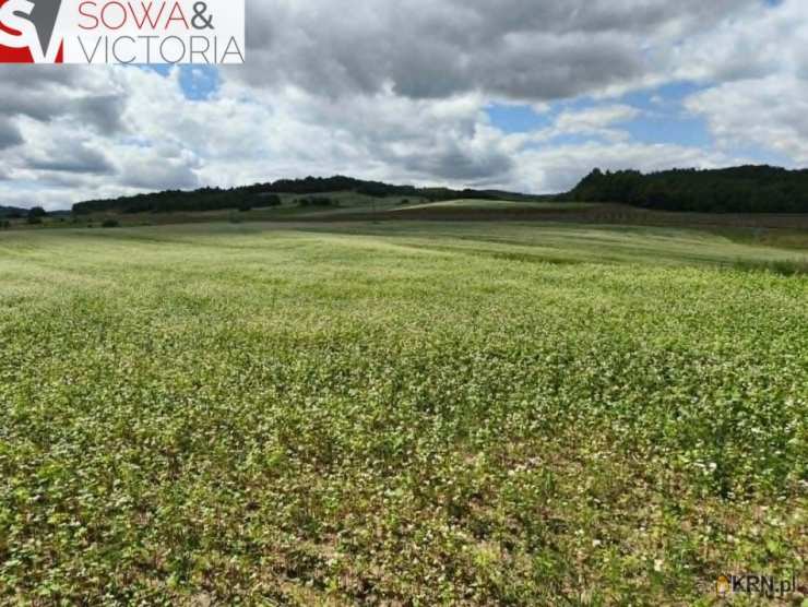 Działki  na sprzedaż, Stare Bogaczowice, ul. , 