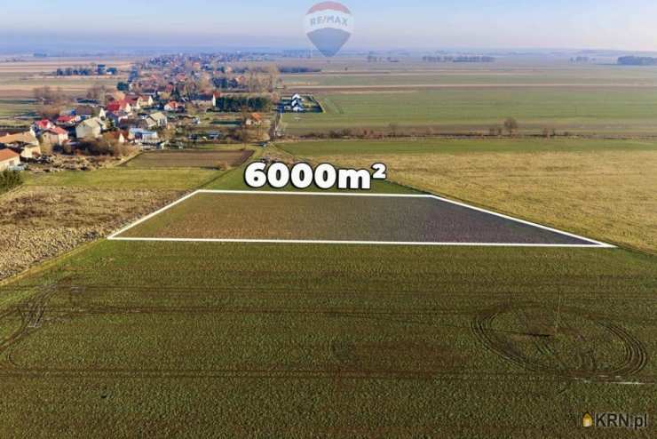 Działki  na sprzedaż, Chocianowiec, ul. , 