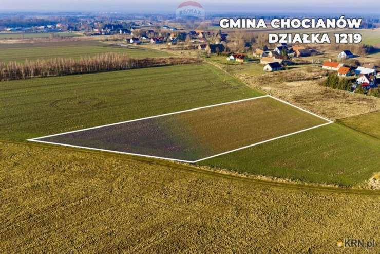 Chocianowiec, ul. , Działki  na sprzedaż, 