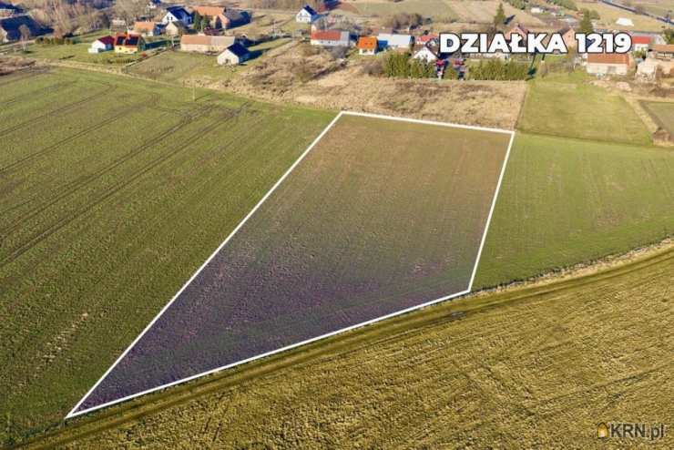 Chocianowiec, ul. , , Działki  na sprzedaż