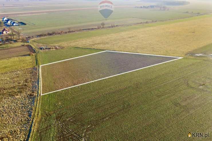 RE/MAX Polska, Działki  na sprzedaż, Chocianowiec, ul. 